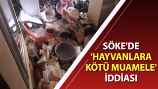 Bir evde telef olmuş ve bakıma muhtaç hayvanlar bulundu