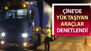 Çine'de kamyonlar denetimden geçti