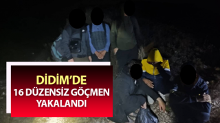 Didim’de 16 düzensiz göçmen yakalandı