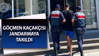 Göçmen kaçakçısı jandarmaya takıldı