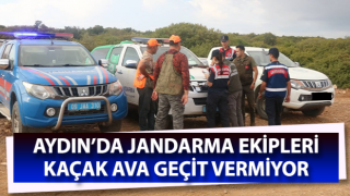 Jandarma ekipleri kaçak ava geçit vermiyor