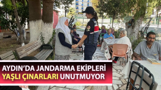 Jandarma ekipleri yaşlı çınarları unutmuyor