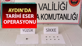 Jandarma ekiplerinden tarihi eser operasyonu