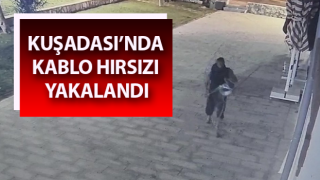 Kablo hırsızı yakalandı