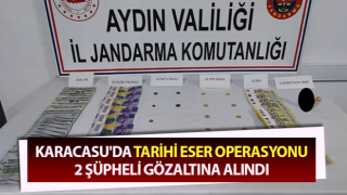 Karacasu'da tarihi eser operasyonu