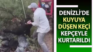 Kuyuya düşen keçi kepçeyle kurtarıldı