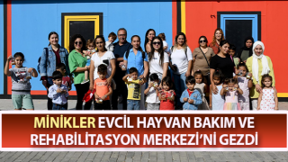 Minikler, kedi ve köpek bisküvileriyle can dostları besledi