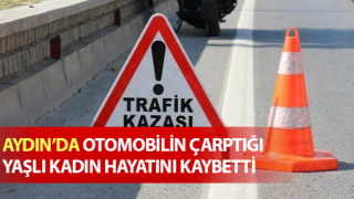 Otomobilin çarptığı yaşlı kadın hayatını kaybetti