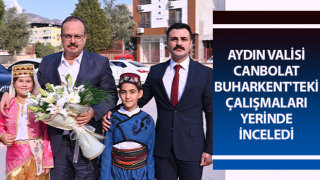 Vali Canbolat, Buharkent'teki çalışmaları yerinde inceledi