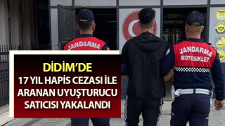 17 yıl hapis cezası bulunan firari yakalandı