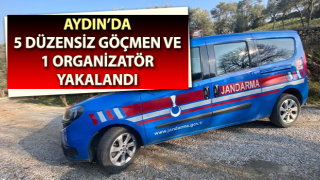 Aydın’da 5 düzensiz göçmen yakalandı