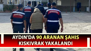 Aydın'da 90 aranan şahıs yakalandı