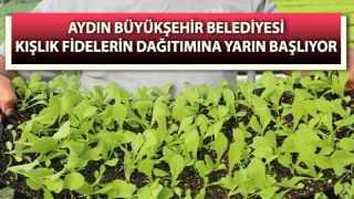 Büyükşehir, kışlık fidelerin dağıtımına yarın başlıyor