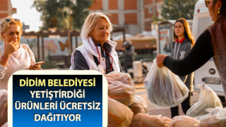 Didim Belediyesi, yetiştirdiği ürünleri ücretsiz dağıtıyor