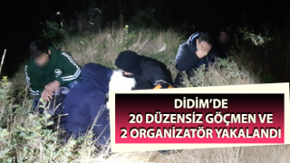 Didim’de 20 düzensiz göçmen yakalandı