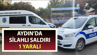 Efeler’ de silahlı saldırı