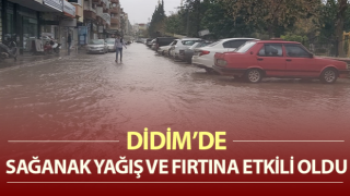 Fırtınadan sentetik sahanın direkleri devrildi