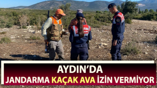 Jandarma kaçak ava izin vermiyor