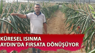 Kaymakam gitti projesi tüm ile yayılmaya başladı