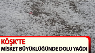 Köşk'te dolu yağışı etkili oldu