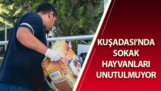 Kuşadası’nda sokak hayvanları unutulmuyor