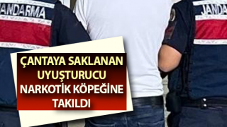 Kuşadası’nda uyuşturucu operasyonu