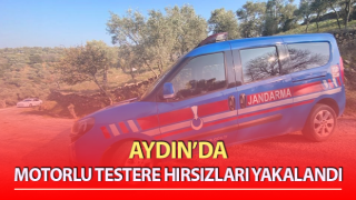 Motorlu testere hırsızları yakalandı