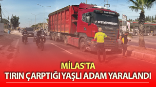 Muğla’da trafik kazası: 1 yaralı