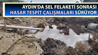 Sel felaketi sonrası bölgede hasar tespit çalışmaları sürüyor