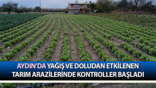 Yağış ve doludan etkilenen tarım arazilerinde kontroller başladı