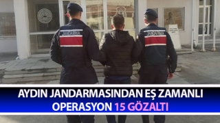 Aydın jandarmasından eş zamanlı operasyon: 15 gözaltı