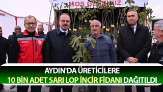 Aydın'da 10 bin adet sarı lop incir fidanı dağıtıldı