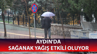 Aydın'da sağanak yağış etkili oluyor