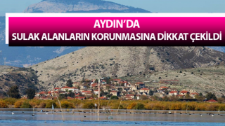 Aydın’da sulak alanların korunmasına dikkat çekildi