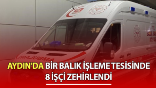 Balık işleme tesisinde işçilerin zehirlendiği iddiası