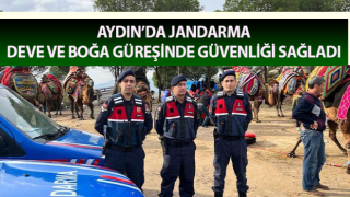 Jandarma deve ve boğa güreşinde güvenliği sağladı