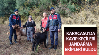 Kayıp keçileri jandarma ekipleri buldu