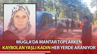 Mantar toplarken kaybolan yaşlı kadın her yerde aranıyor