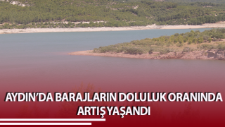 Son yağışlar çiftçilerin yüzünü güldürdü