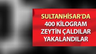 Sultanhisar’da zeytin hırsızları yakalandı