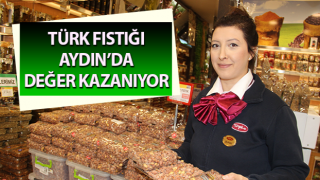 Türk fıstığı Aydın’da değer kazanıyor