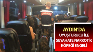 Uyuşturucu ile seyahate narkotik köpeği engeli