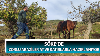 Zorlu araziler at ve katırlarla hazırlanıyor