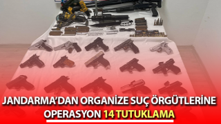 Aydın’da organize suç örgütlerine operasyon