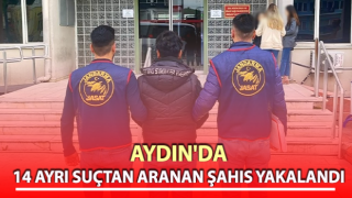 Azılı suçlu jandarmadan kaçamadı