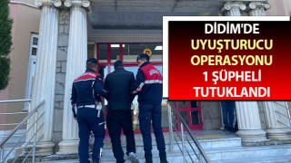 Didim'de uyuşturucu operasyonu