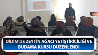 Didim'de Zeytin Ağacı Yetiştiriciliği ve Budama Kursu başladı