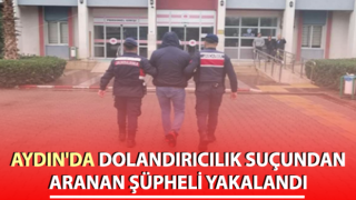 Dolandırıcılık suçundan aranan şahıs jandarmadan kaçamadı