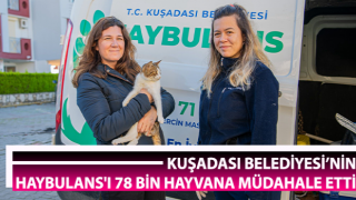 Haybulans 78 bin hayvana müdahale etti