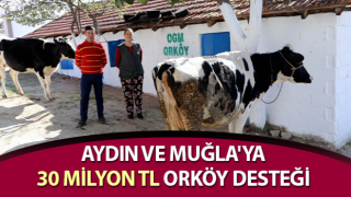 Aydın ve Muğla'ya 30 Milyon TL ORKÖY desteği